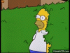 tumblr_1624bdb1324e5f5d52a34df61ace9c98_6bd6b7b5_640 (1).gif