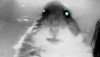 98eb8dea3d4ca98707bf2174ab194f7b12cfdaaer1-720-405v2_uhq.jpg