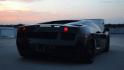 giphy (1).gif