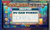 Skärmbild 2025-01-31 225959.png