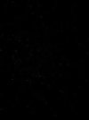IMG_8497.jpeg