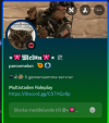 1749827219581.png