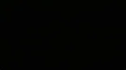 OIP.webp