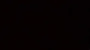 OIP.webp
