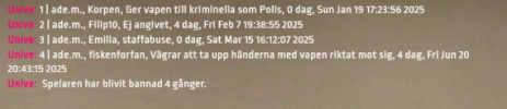 Skärmbild 2025-07-30 184128.png