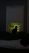 IMG_5912.jpeg
