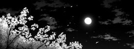 2e57cbe5353f6731a8debf3f958e07c2.png