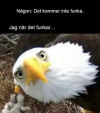 Skärmbild 2025-02-16 143815.png