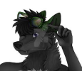Z.png