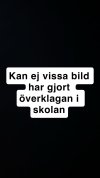 IMG_3073.jpeg