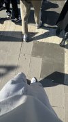 IMG_6780.jpeg