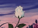 flower.gif