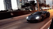 driving-lamborghini.gif
