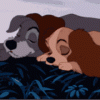 lady-and-the-tramp.gif