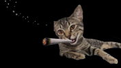 20230518_125205.png 20230518_125205.png