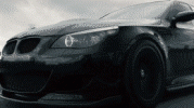 BraveFaithfulHoneycreeper-max-1mb.gif