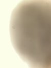 image.jpg image.jpg