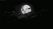 image0.gif