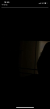 IMG_3371.png