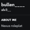 Skärmbild 2024-01-11 191045.png