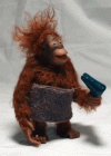 1673294964265.gif
