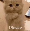 1673501700952.gif