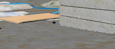 crt.PNG