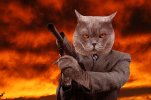 kittie gang gang.jpg