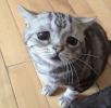 image (11).png