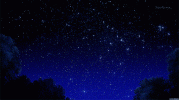 IMG_4627.gif