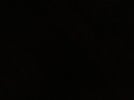 A_black_image.jpg A_black_image.jpg