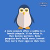 15-Amazing-Facts-You-Didnt-Know-About-Animals__880.jpg