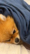 IMG_3919.jpeg