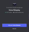 Skärmbild 2024-08-25 154243.png