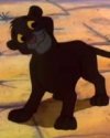 IMG_1075.jpeg
