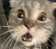 IMG_2035.jpeg