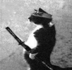 unknown-10.png