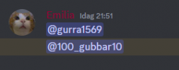 Skärmbild 2024-10-23 215140.png