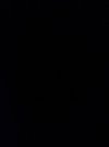 IMG_3066.jpeg