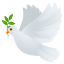 1735858536534.png