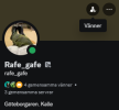 Skärmbild 2025-01-10 185128.png