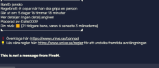 Skärmbild 2025-01-27 221156.png