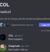 Skärmbild 2025-01-28 174424.png