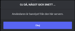 Skärmbild 2025-01-30 000342.png