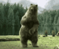 dance-dancing.gif