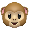 monkey-face.png