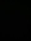 IMG_0349.jpeg