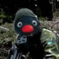 Pingu i militären