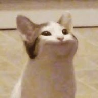 Dompiss