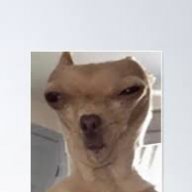 Marcu